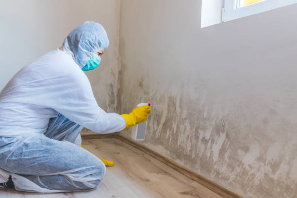 Hvac And Air Duct Mold Remediation inspection of HVAC system in Garrett Park