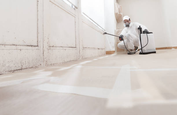 Black mold remediation team in Garrett Park