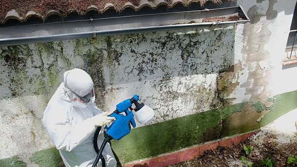 Mold Remediation service in Garrett Park, Garrett Park, MD